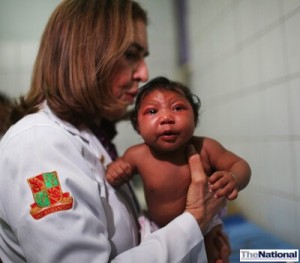 Low risk of Zika virus reaching the UAE