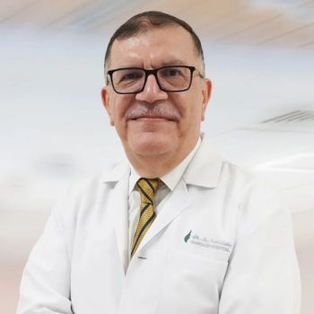 Dr. Elhusseiny Moustafa Dr. Elhusseiny Moustafa